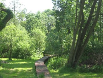 Steg und Weiher Finkenwerder Hof